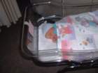 dscf0313_small.jpg