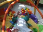 photo210_small.jpg