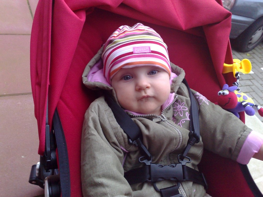 photo337.jpg