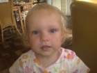photo528_small.jpg