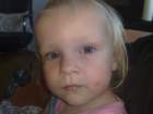 photo536_small.jpg