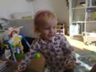 photo542_small.jpg